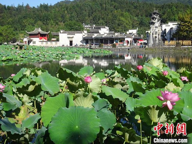 世界文化遗产西递:中秋假期游客增多